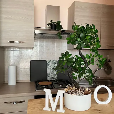 Moch - Viaggiatori Scoperta Della Costa Dei Trabocchi Francavilla Al Mare