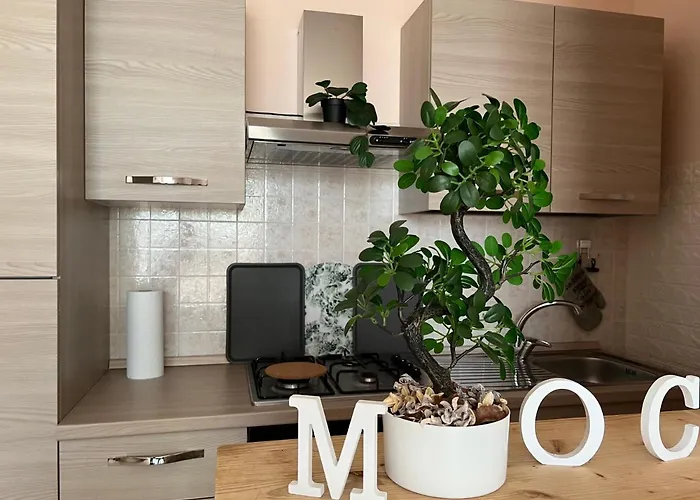 Moch - Viaggiatori Scoperta Della Costa Dei Trabocchi Francavilla Al Mare