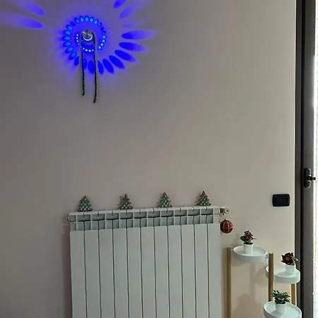 Moch - Viaggiatori Scoperta Della Costa Dei Trabocchi Francavilla Al Mare